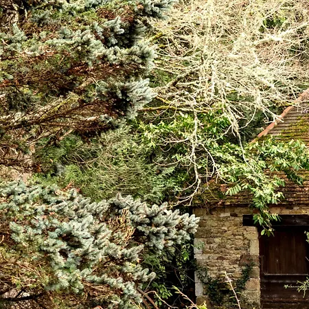 Gasthof Bonfarto Locations 3*