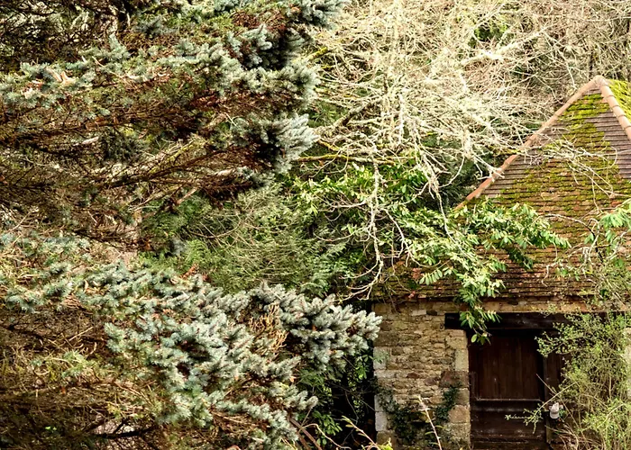 Maison d'hôtes Bonfarto Locations 3*