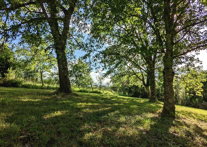 Гостевой дом Bonfarto Locations