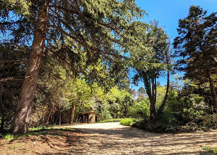 Maison d'hôtes Bonfarto Locations Urval